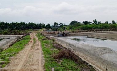 Se vende camaronera en Isla de 80 has.