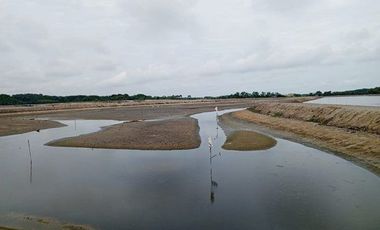 Se vende camaronera en Isla de 80 has.