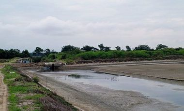 Se vende camaronera en Isla de 80 has.