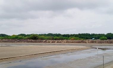 Se vende camaronera en Isla de 80 has.