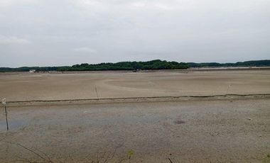 Se vende camaronera en Isla de 80 has.