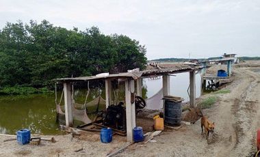 Se vende camaronera en Isla de 80 has.