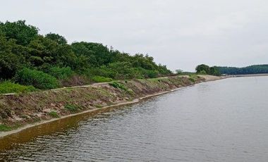 Se vende camaronera en Isla de 80 has.