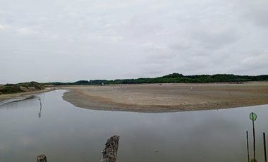 Se vende camaronera en Isla de 80 has.