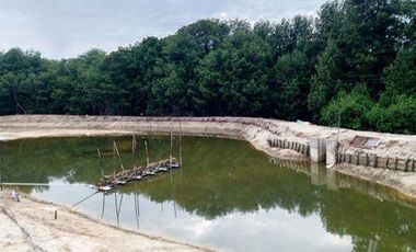 Se vende camaronera en Isla de 80 has.