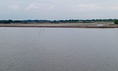 Se vende camaronera en Isla de 80 has.