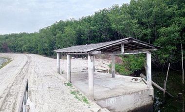 Se vende camaronera en Isla de 80 has.