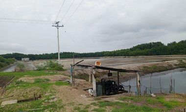 Se vende camaronera en Isla de 80 has.