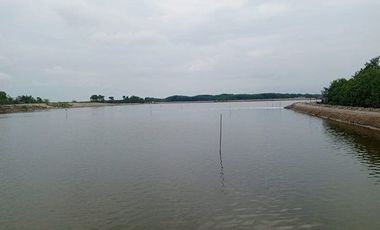 Se vende camaronera en Isla de 80 has.