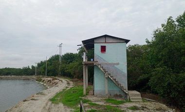 Se vende camaronera en Isla de 80 has.