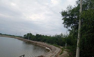 Se vende camaronera en Isla de 80 has.