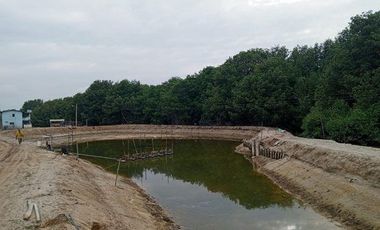 Se vende camaronera en Isla de 80 has.