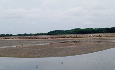 Se vende camaronera en Isla de 80 has.