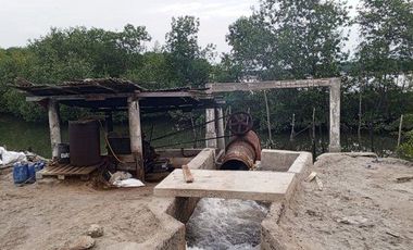 Se vende camaronera en Isla de 80 has.