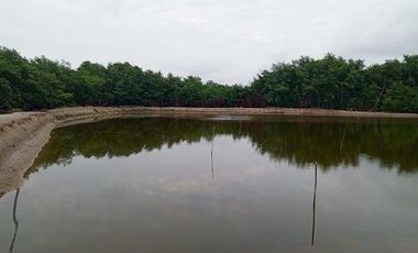 Se vende camaronera en Isla de 80 has.