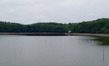 Se vende camaronera en Isla de 80 has.