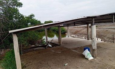 Se vende camaronera en Isla de 80 has.