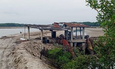 Se vende camaronera en Isla de 80 has.