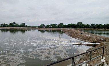 Se vende camaronera en Isla de 80 has.