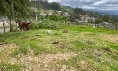 VENTA TERRENO AGRICOLA CHECA  TUMBACO