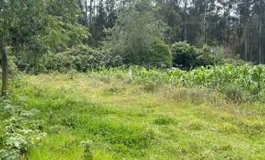 VENTA TERRENO AGRICOLA CHECA  TUMBACO