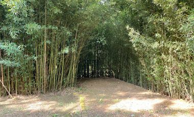 HERMOSA FINCA DE RECREO EN AMAGÁ, SUROESTE ANTIOQUEÑO