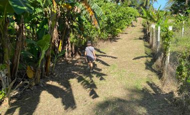 BEST PRICE in AMADEO! 500sqm Titled lot for sale, Bucal, Amadeo - Just P3.7k/sqm