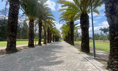 VENDO HERMOSO TERRENO EN URB PRIVADA PUEMBO (SECTOR COLEGIO AMERICANO, HIGHLANDS)