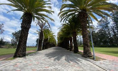 VENDO HERMOSO TERRENO EN URB PRIVADA PUEMBO (SECTOR COLEGIO AMERICANO, HIGHLANDS)