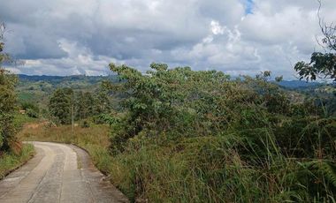 VENDO HERMOSA FINCA A PUERTA CERRADA EN MARINILLA ANTIOQUIA.
