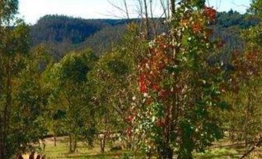 Se vende Parcela en Las Brisas de Topocalma, Valle Hidango, Comuna de Litueche, Sexta Region