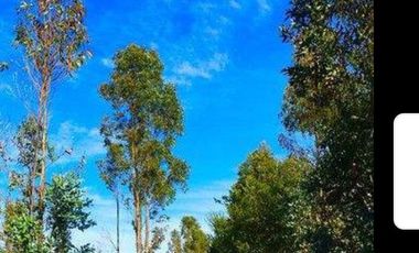 Se vende Parcela en Las Brisas de Topocalma, Valle Hidango, Comuna de Litueche, Sexta Region