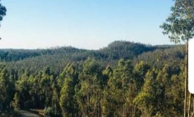 Se vende Parcela en Las Brisas de Topocalma, Valle Hidango, Comuna de Litueche, Sexta Region