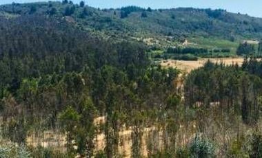 Se vende Parcela en Las Brisas de Topocalma, Valle Hidango, Comuna de Litueche, Sexta Region