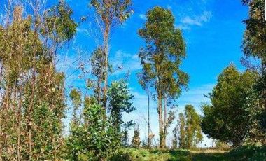 Se vende Parcela en Las Brisas de Topocalma, Valle Hidango, Comuna de Litueche, Sexta Region