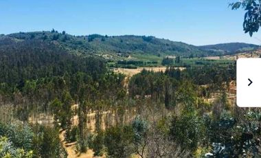 Se vende Parcela en Las Brisas de Topocalma, Valle Hidango, Comuna de Litueche, Sexta Region
