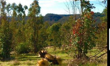 Se vende Parcela en Las Brisas de Topocalma, Valle Hidango, Comuna de Litueche, Sexta Region
