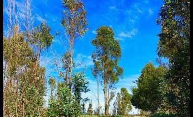 Se vende Parcela en Las Brisas de Topocalma, Valle Hidango, Comuna de Litueche, Sexta Region