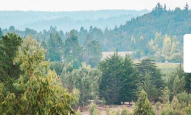 Se vende Parcela en Las Brisas de Topocalma, Valle Hidango, Comuna de Litueche, Sexta Region