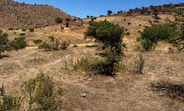 Parcela de 4954 m2 en Condominio Alto Rosario, Padre Hurtado.