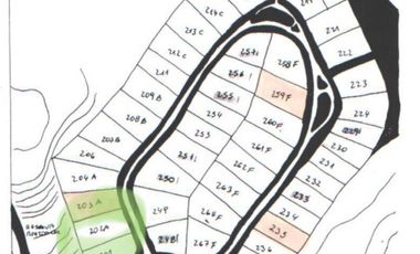 Se vende sitio en Lote Bahía Alihue, Bahía Coique , Futrono