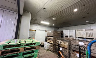 EN VENTA TRES BODEGAS EN LA VEGA CENTRAL DE SANTIAGO DE CHILE