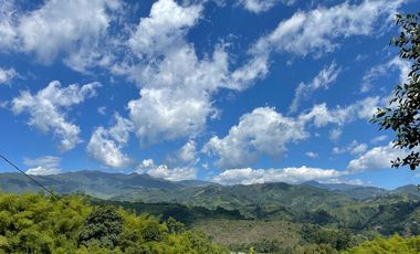 Venta de finca en salento Quindío