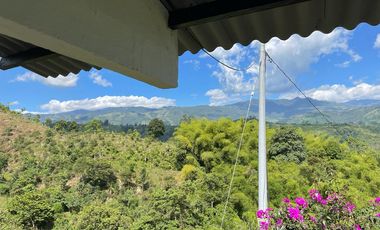 Venta de finca en salento Quindío