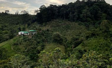 Venta de finca en salento Quindío