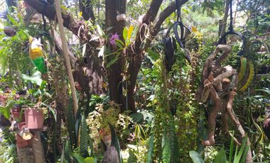 QUINTA KRONOPIOS: Santuario natural, Casas camprestres en alquiler