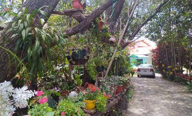CASAS CAMPESTRES EN RENTA: Quinta Kronopios, Santuario natural