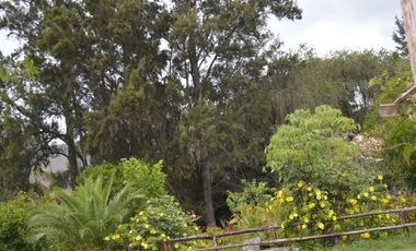 CASAS CAMPESTRE EN ARRIENDO: Quinta Kronopios, entorno ecológico y biodiverso
