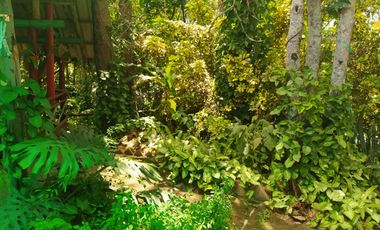 CASAS CAMPESTRES EN RENTA: Quinta Kronopios, entorno ecológico