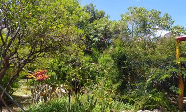CASAS CAMPESTRES EN RENTA: Quinta Kronopios, entorno ecológico